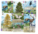 Доповнення Лісова метушня. Альпи (Forest Shuffle: Alpine Expansion) LOB2405UA фото 3