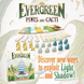 Evergreen: Pines and Cacti (Сосни та Кактуси) 9359 фото 3